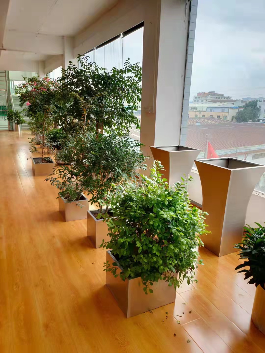 webwxgetmsgimg (1).jpg