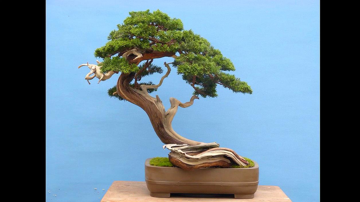 1681044515163819.jpeg 3d88b2b87be19fe19c57bc8d1aee6f15.jpeg