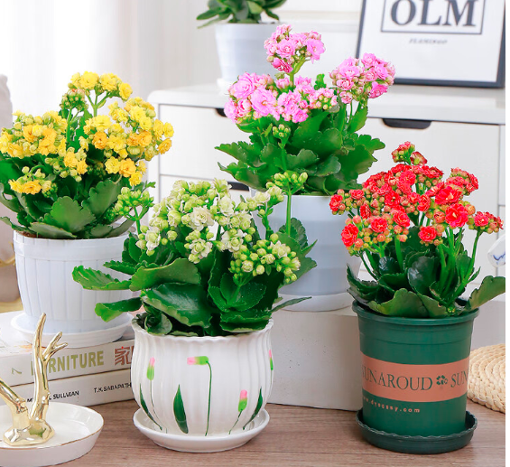 1707212891562501.png image.png