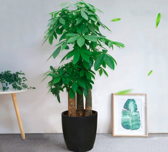 1707212756231838.png image.png