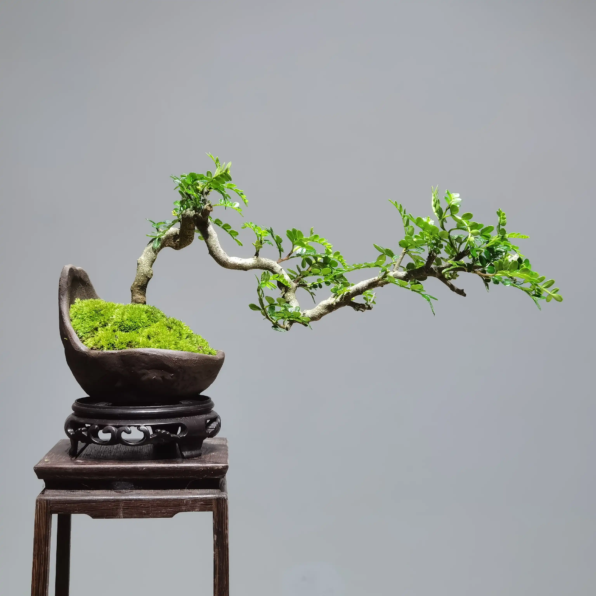 1753096212751217.png f675eb7abd6471f6bdb40ecac0650ac.png